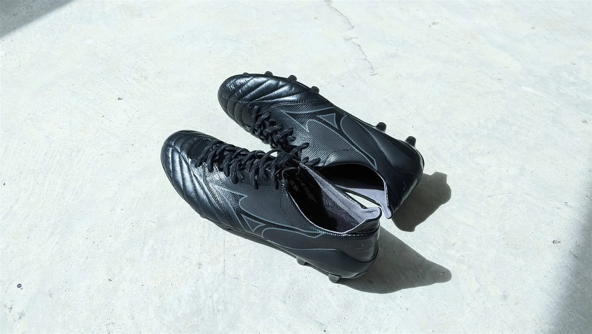 Morelia neo 2025 2 review