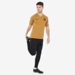 Nike Inter Milan Breathe Strike Top - Muted Bronze/Truly Gold/Black image 1